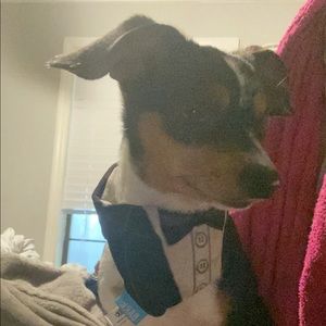 Meet your Posher, Shane